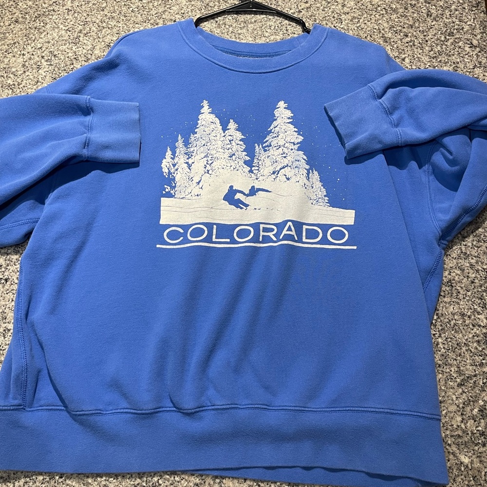 American Eagle Outfitters Blue Crewneck Sweater with Evergreen Design